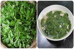Loại rau mọc dại ở Việt Nam có thể chữa lành vết thương, cải thiện tinh thần