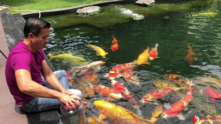 Hé lộ cuộc sống hiện tại của vua cá Koi, nhiều người không khỏi bất ngờ-5