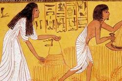 Kỳ lạ cách thử thai của người cổ đại: Đi tiểu lên hạt lúa, ôm hành tây ngủ