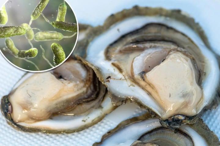 Người đàn ông chết sau khi ăn hàu sống vài ngày-1