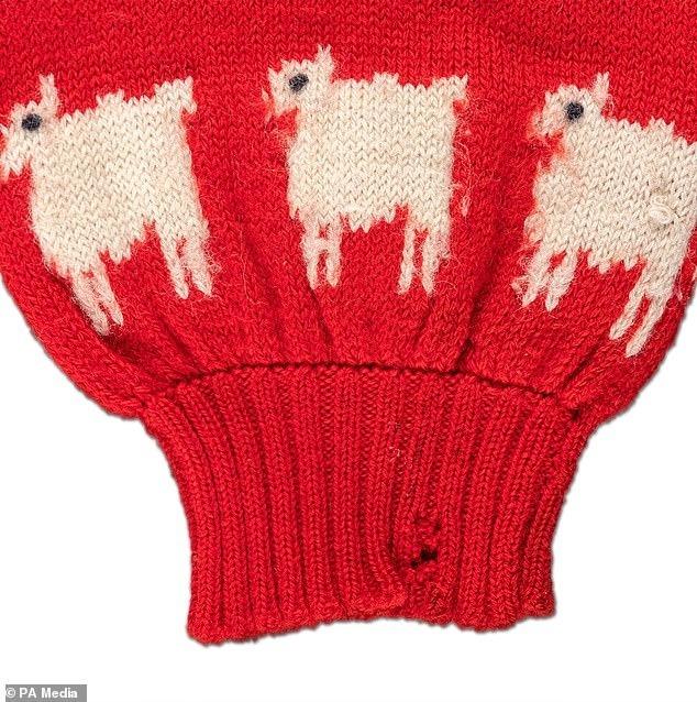 Có gì đặc biệt ở chiếc áo len màu đỏ của cố Vương phi Diana được bán với giá hơn 27 tỷ VNĐ?-6