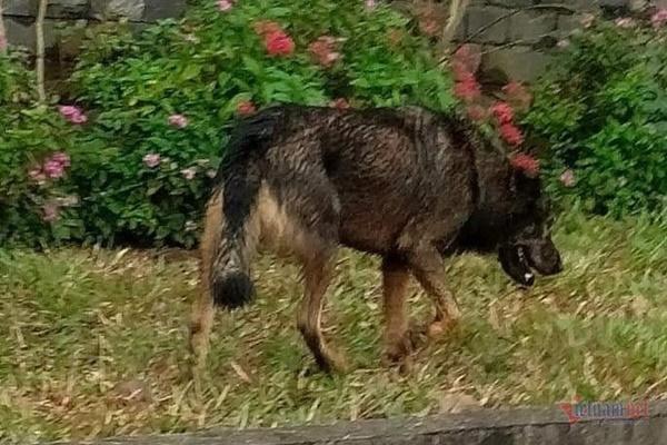 Hải Dương: Trường tiểu học trả lại tiền phụ huynh vì thu không đúng quy định-2