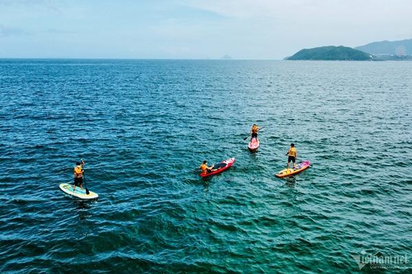 Cá heo tung tăng bơi lội ở vịnh Hạ Long-2