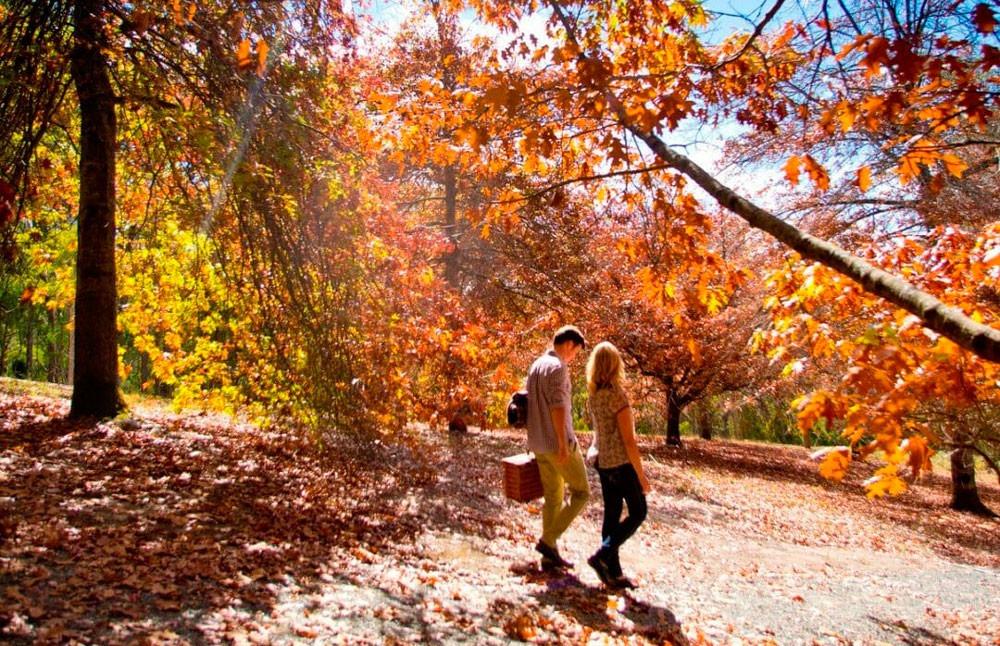 Những đặc ân chỉ có khi du lịch mùa thu-2