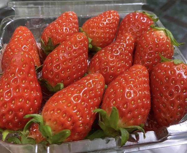 8 lợi ích sức khỏe không ngờ của dâu tây-1