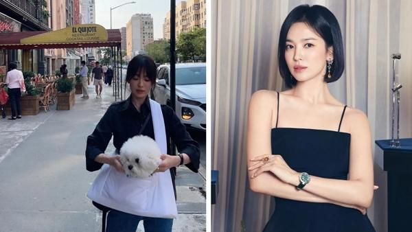 Song Hye-kyo ở tuổi 42: Thành công và giàu sang ít ai sánh kịp-6
