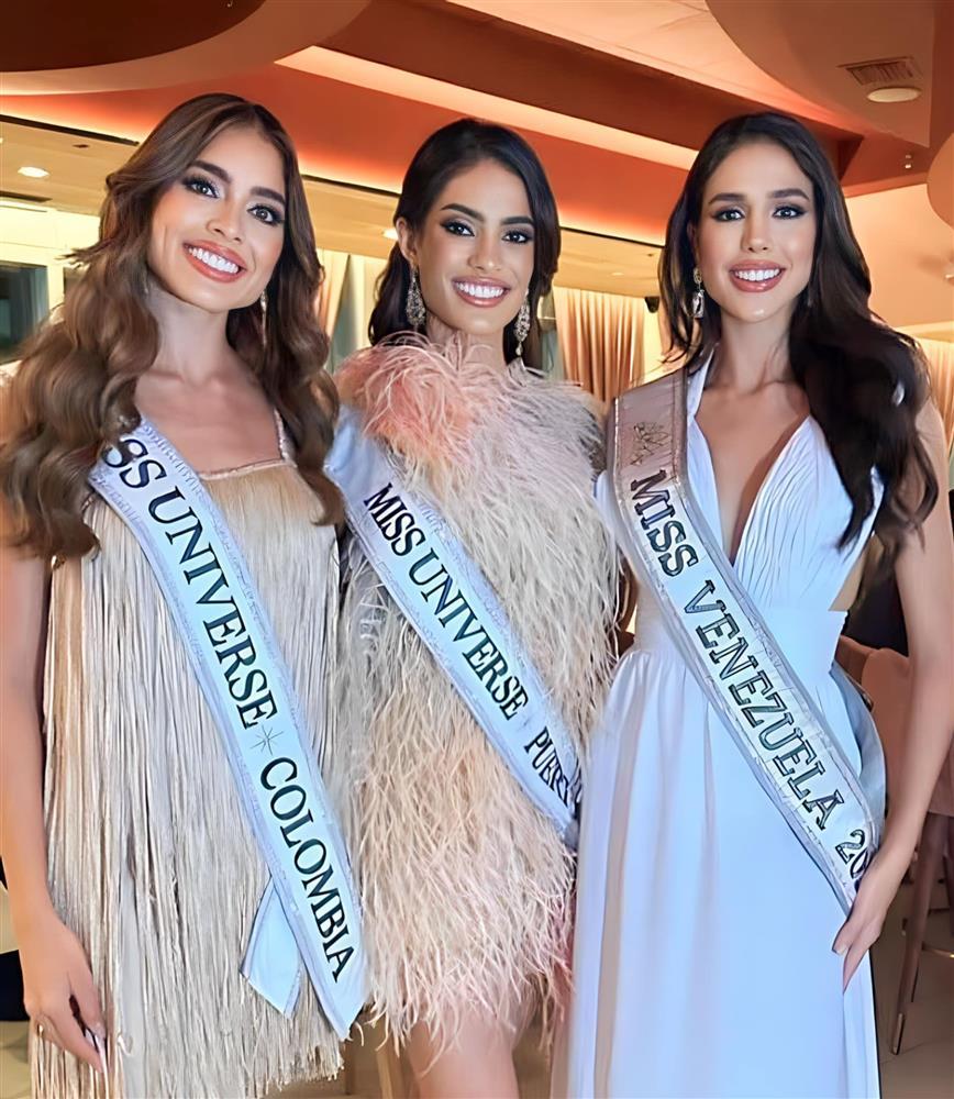 Đương kim Hoa hậu Hoàn vũ diện mốt bra-top ở tiệc từ thiện-5