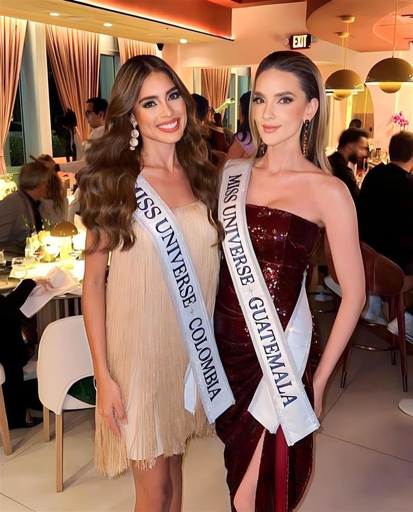 Đương kim Hoa hậu Hoàn vũ diện mốt bra-top ở tiệc từ thiện-6