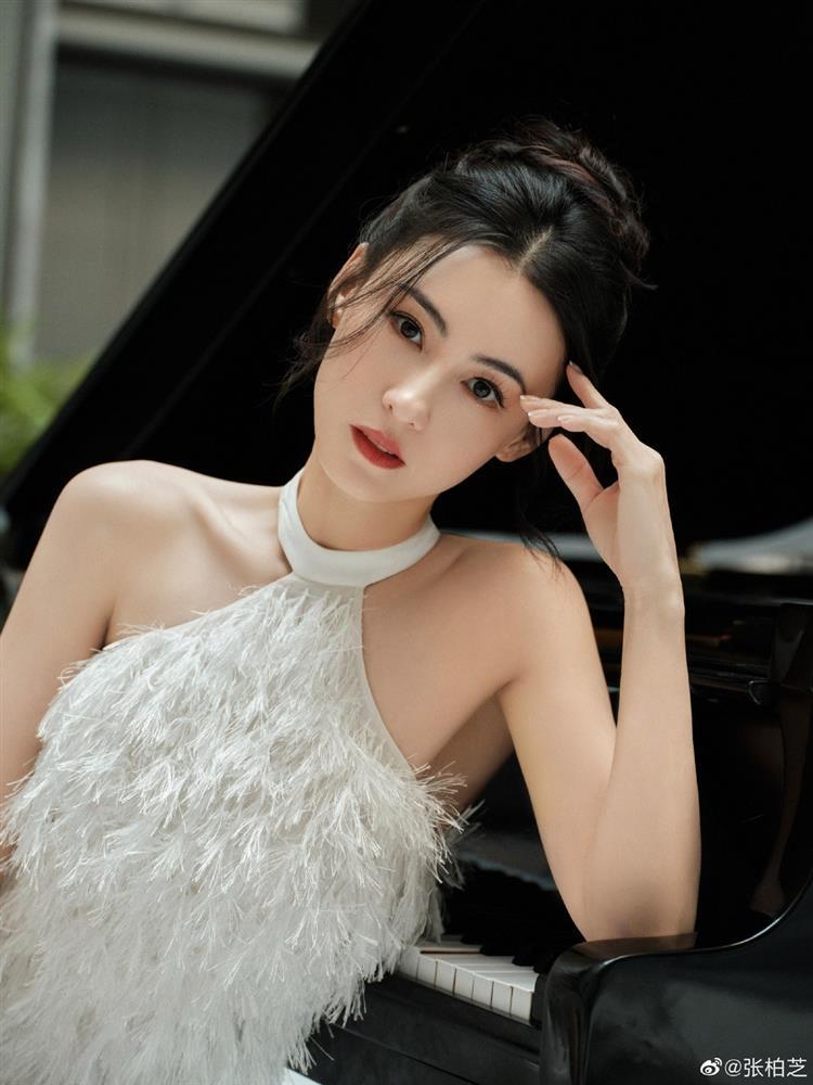 Ồn ào danh tính người đàn ông trong bóng tối của Trương Bá Chi-4