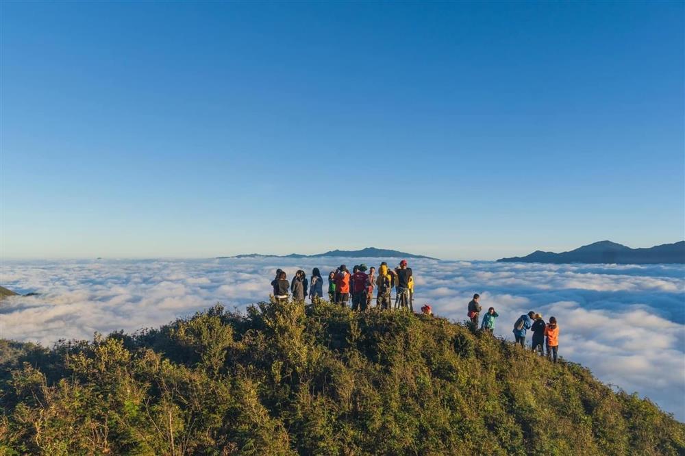 Săn hoa chi pâu mỗi năm chỉ nở một lần trên đỉnh Tà Chì Nhù-5
