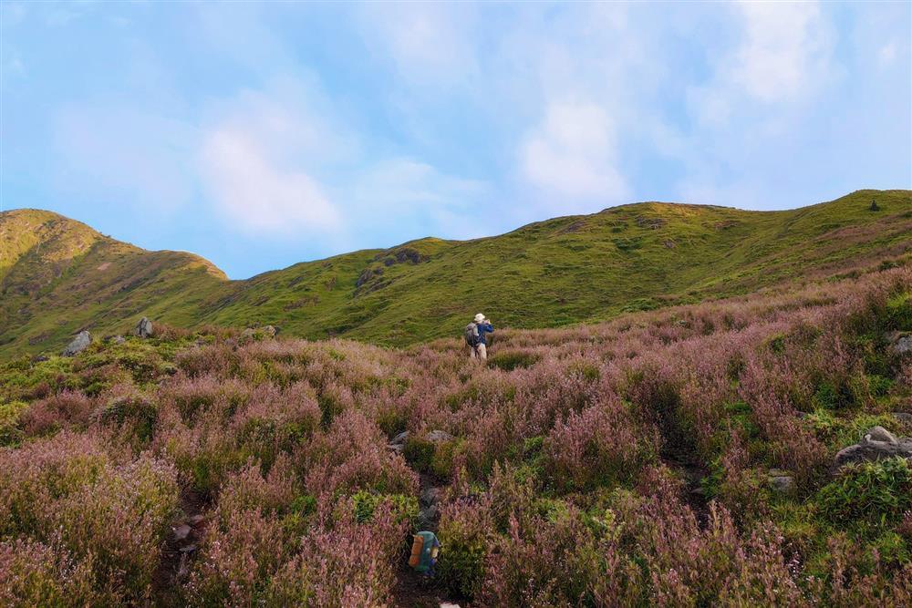 Săn hoa chi pâu mỗi năm chỉ nở một lần trên đỉnh Tà Chì Nhù-6