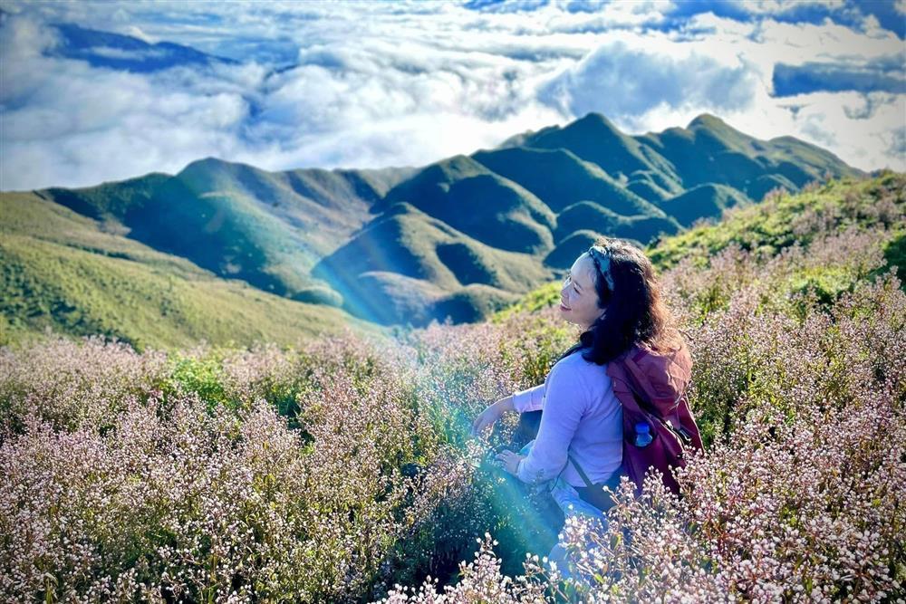 Săn hoa chi pâu mỗi năm chỉ nở một lần trên đỉnh Tà Chì Nhù-8