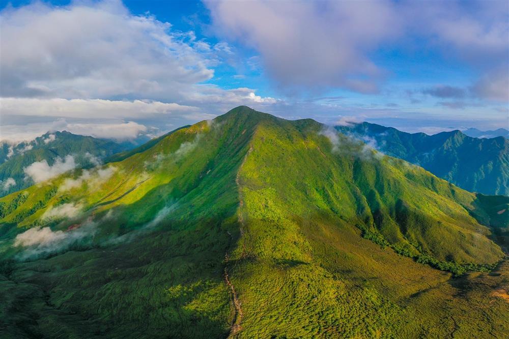Săn hoa chi pâu mỗi năm chỉ nở một lần trên đỉnh Tà Chì Nhù-10