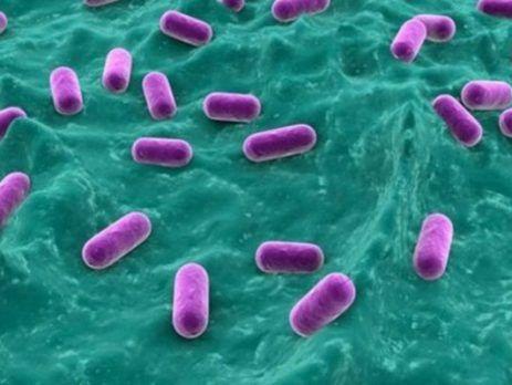 Người phụ nữ xinh đẹp bị cắt cụt tay chân do ăn cá rô phi nhưng mắc sai lầm-2