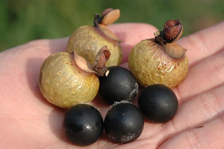 Mẹo giữ quần áo bền màu ít người biết-2