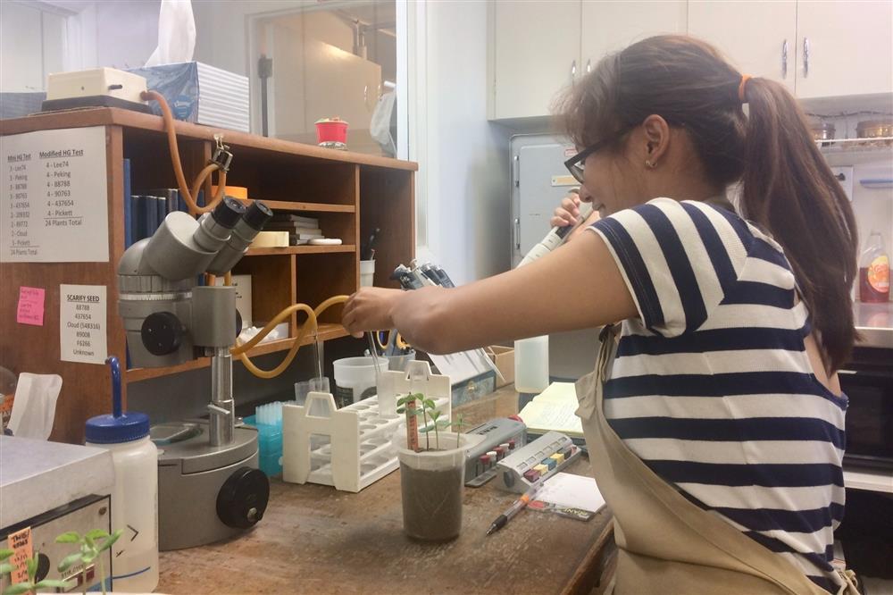 Cô gái Việt làm việc tại Mỹ thu nhập 2 tỷ đồng/năm-5