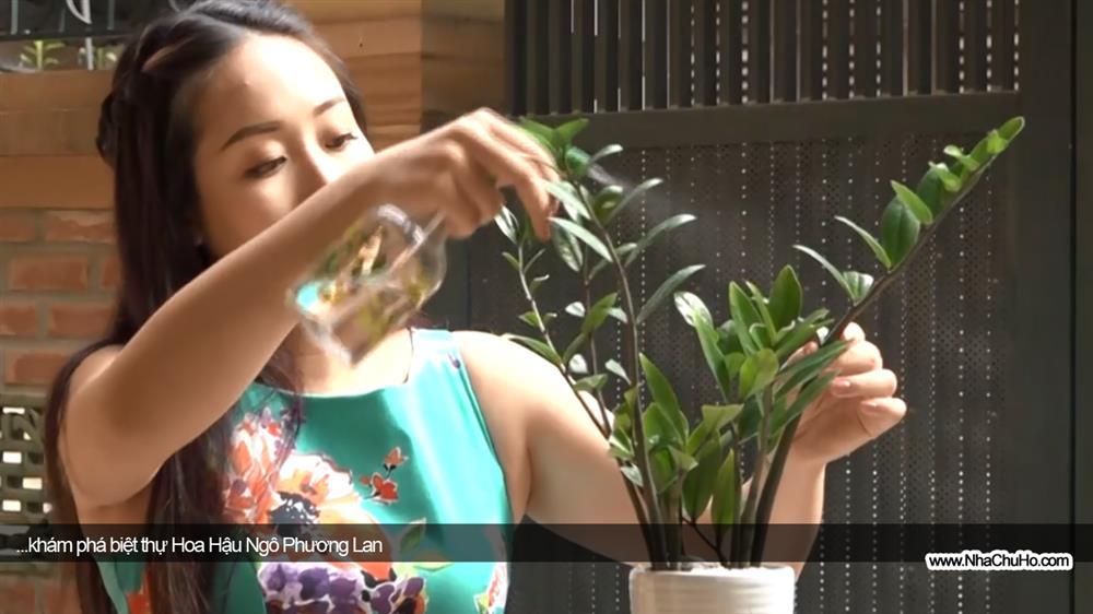 Tò mò biệt thự từng ở của Hoa hậu Thế giới người Việt đầu tiên, sinh ra trong gia đình gia thế nhưng thường trực một nỗi sợ-12