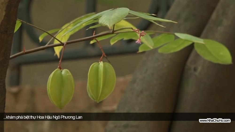 Tò mò biệt thự từng ở của Hoa hậu Thế giới người Việt đầu tiên, sinh ra trong gia đình gia thế nhưng thường trực một nỗi sợ-13