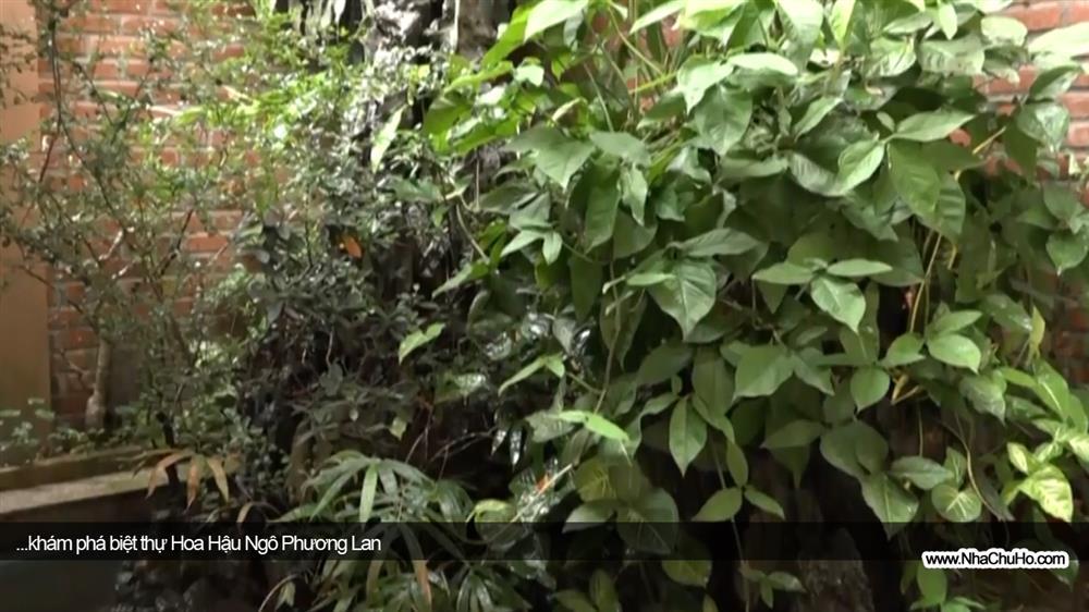 Tò mò biệt thự từng ở của Hoa hậu Thế giới người Việt đầu tiên, sinh ra trong gia đình gia thế nhưng thường trực một nỗi sợ-14