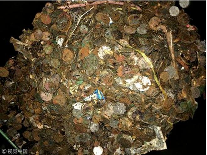 Dọn giếng khô bỏ không, bất ngờ tìm được kho báu-1