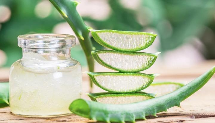 Công dụng tuyệt vời của nha đam trong làm đẹp-1