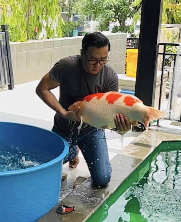 Vua cá Koi Thắng Ngô chăm chỉ tập gym độ body sau chia tay Hà Thanh Xuân-7