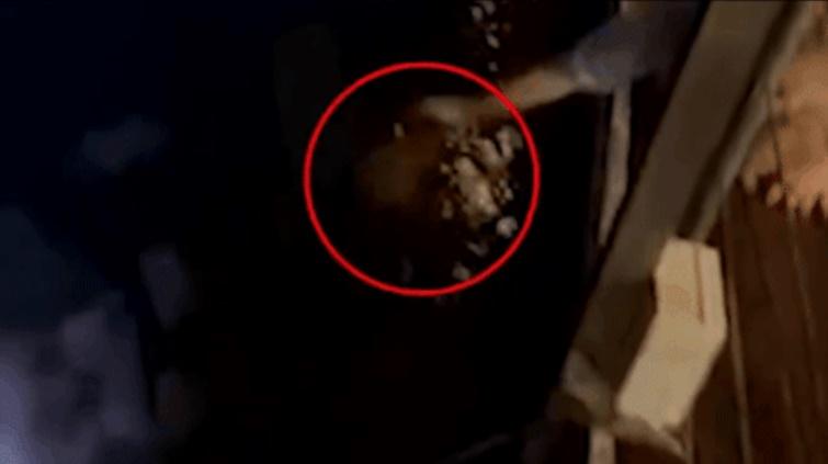 Du khách vào nhà hàng, gọi tôm hùm giá hơn 5 triệu rồi bất ngờ thả xuống biển-2