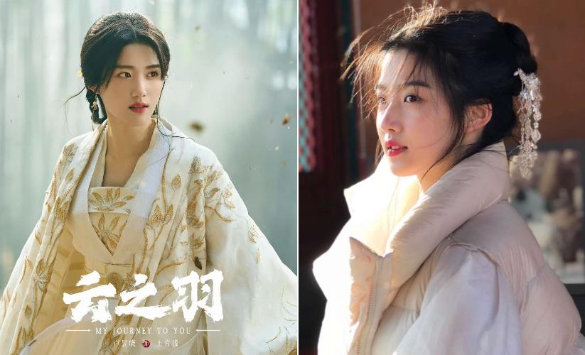 Nữ diễn viên phụ đè bẹp dàn tiểu hoa đán lưu lượng-2