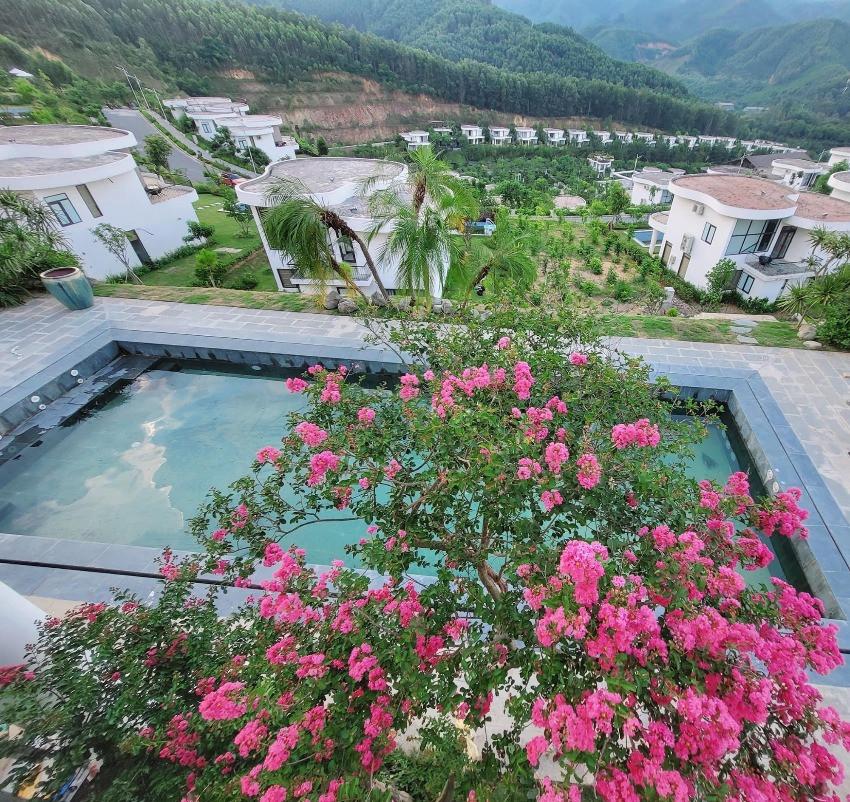 Khu vườn đầy hoa trái trong biệt thự 600m2 như resort của Mạnh Trường-1