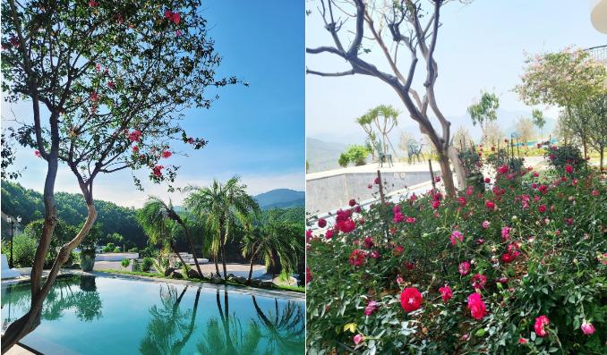 Khu vườn đầy hoa trái trong biệt thự 600m2 như resort của Mạnh Trường-3