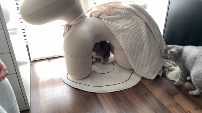 Chi tiết thú vị trong căn nhà Bình An - Phương Nga chứng tỏ á hậu là fan ruột BlackPink-16