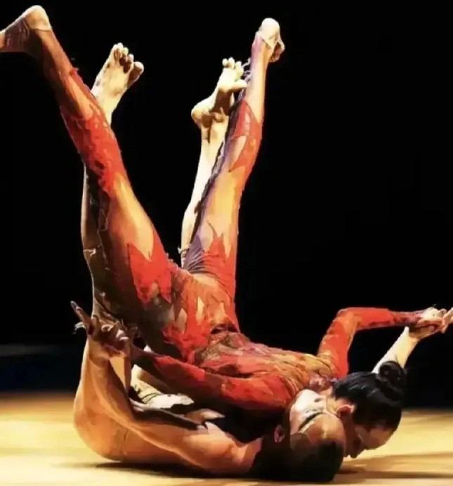 Dương Lệ Bình bị yêu cầu cấm biểu diễn vì quá dung tục-2