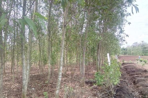 Điều tra vụ công nhân tử vong ở Nhà máy Đạm Ninh Bình-3