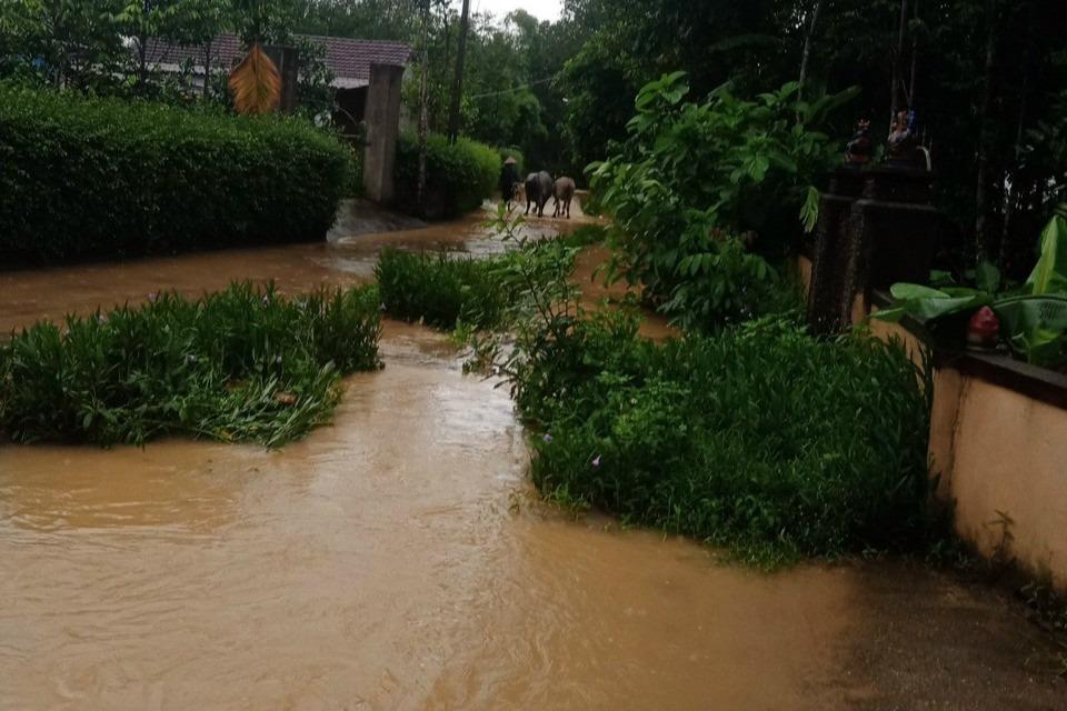 4.300 học sinh một huyện phải nghỉ học vì mưa lớn-2