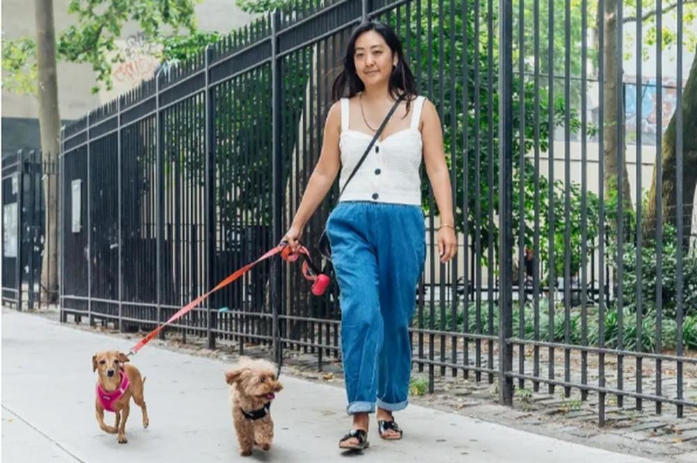 Nghề trông chó cho nhà giàu, lương 7 triệu đồng/ngày?-1