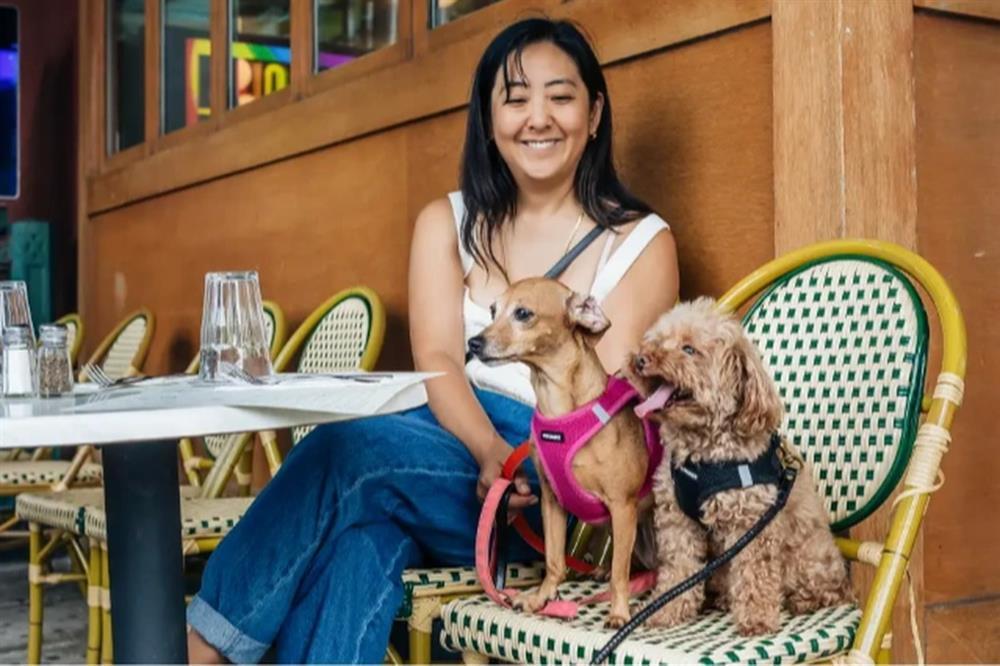 Nghề trông chó cho nhà giàu, lương 7 triệu đồng/ngày?-2