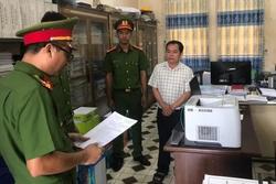 NÓNG: Bắt giam thêm 2 cán bộ liên quan vụ 500 căn biệt thự trái phép ở Đồng Nai
