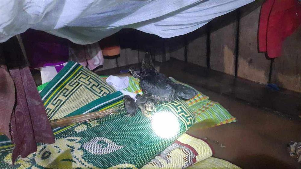 Đất đá sạt lở chắn ngang quốc lộ ở Quảng Bình-1