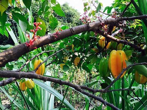 Bức xúc khi bị khinh thường bán hàng online, Việt Trinh hiện sở hữu cơ ngơi như thế nào?-15