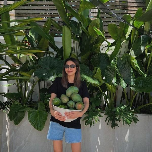 Thành quả từ vườn cây khiến Tăng Thanh Hà càng thêm được nể phục khi thành nông dân mát tay-1