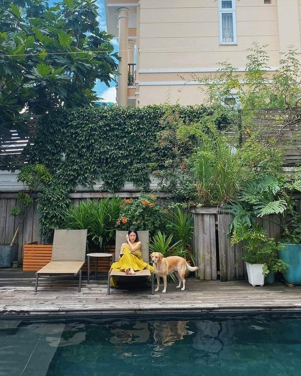 Thành quả từ vườn cây khiến Tăng Thanh Hà càng thêm được nể phục khi thành nông dân mát tay-9