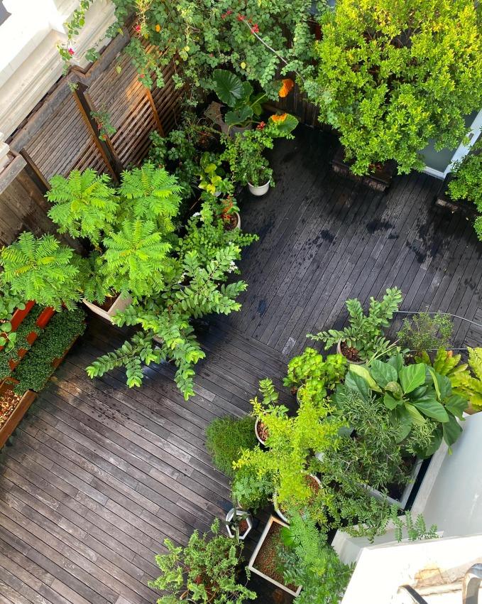 Thành quả từ vườn cây khiến Tăng Thanh Hà càng thêm được nể phục khi thành nông dân mát tay-13