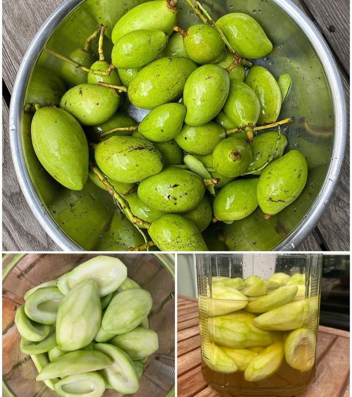 Thành quả từ vườn cây khiến Tăng Thanh Hà càng thêm được nể phục khi thành nông dân mát tay-20