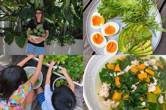 Thành quả từ vườn cây khiến Tăng Thanh Hà càng thêm được nể phục khi thành 'nông dân' mát tay