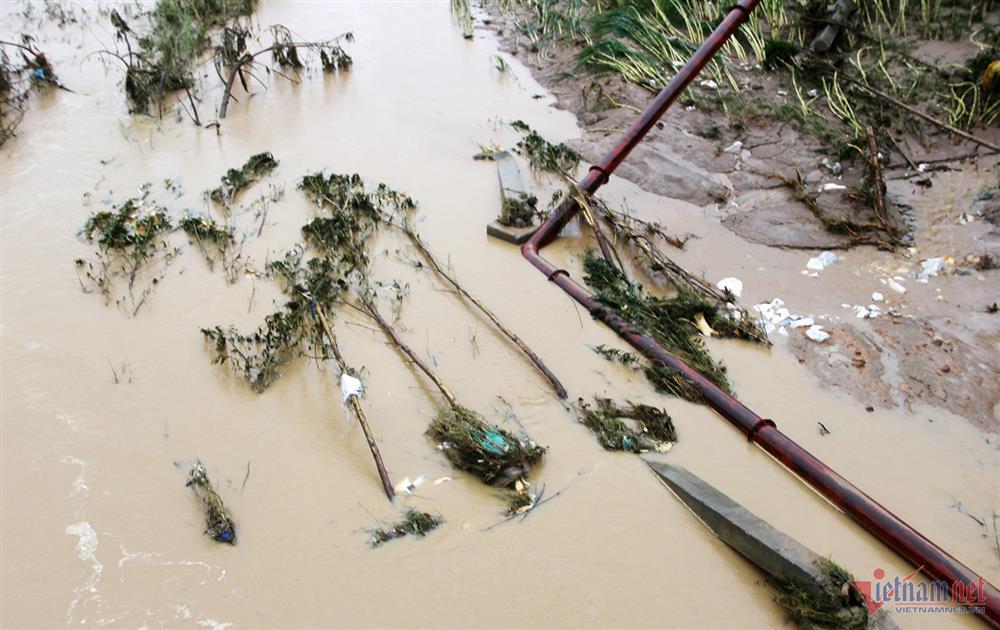 Lũ ngập tận nóc nhà, cụ bà thoát chết nhờ chiếc đệm hơi-1
