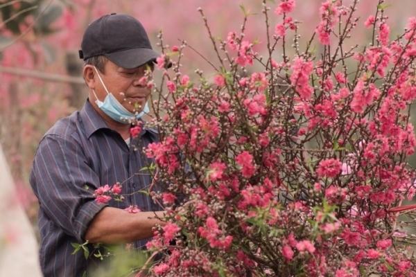 Tết Dương lịch được nghỉ 3 ngày-2