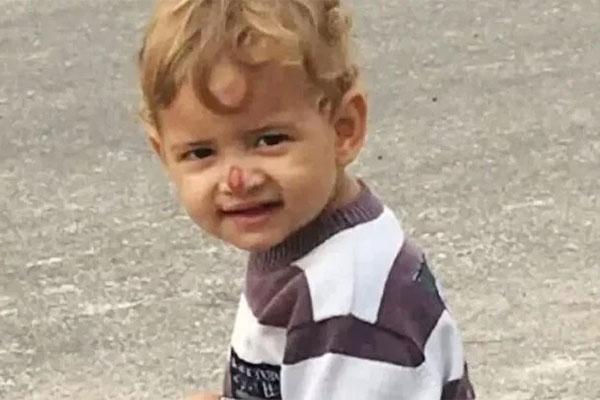 Để chó pitbull chơi cùng trẻ con, người đàn ông hối không kịp-2