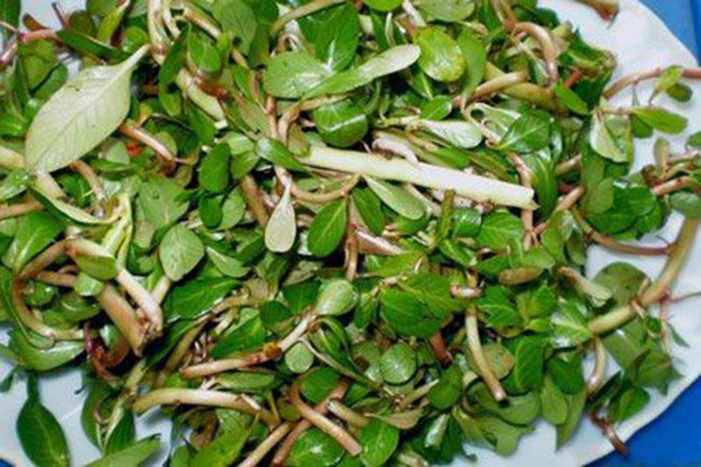 Loại rau mọc dại, trước cho lợn ăn, nay thành đặc sản-2