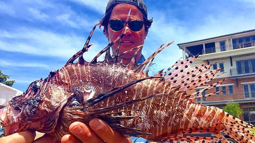 Nơi kêu gọi dân và khách ăn cá sư tử trước khi chúng thành loài xâm hại-2