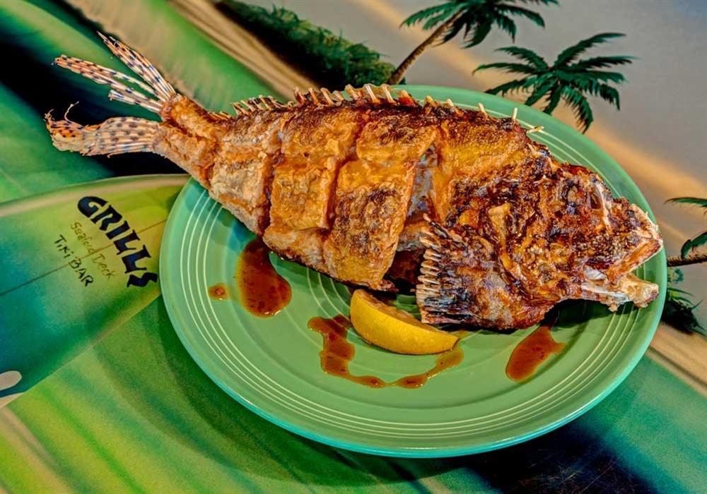 Nơi kêu gọi dân và khách ăn cá sư tử trước khi chúng thành loài xâm hại-3